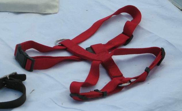 webbing harness